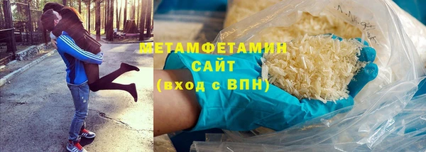 ПСИЛОЦИБИНОВЫЕ ГРИБЫ Болотное